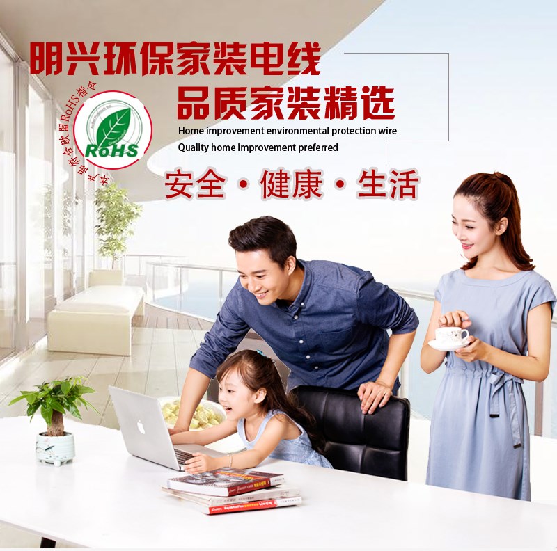 明興電線